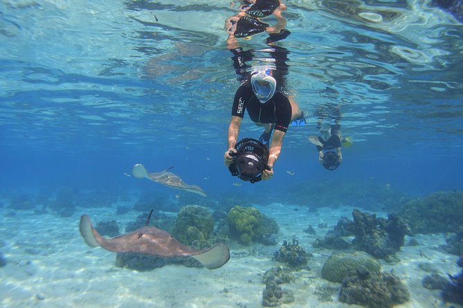 Moorea Private Boat Tour / Sea Scooter Snorkeling Tour - Transfers from your hotel: the quiet convenience you will feel all day