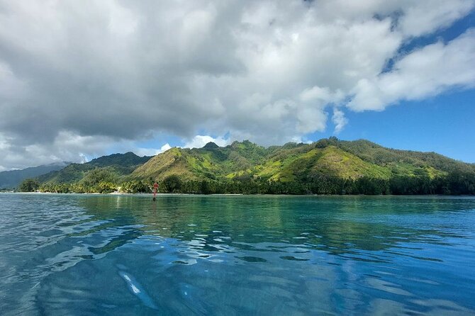 Moorea Private Full Day Tour - What to bring and how to time your day