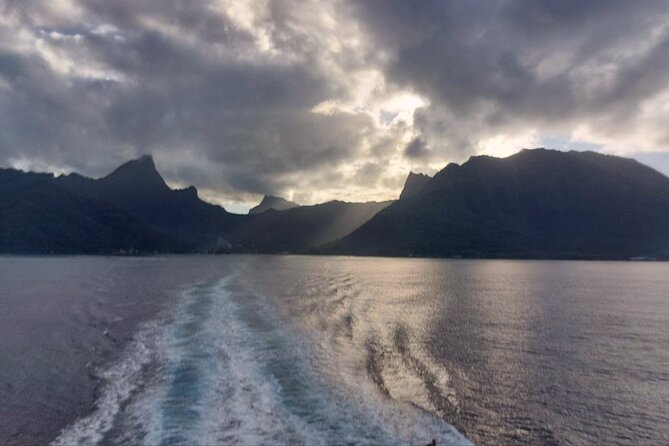 Moorea Private Full Day Tour - Pickup, private comfort, and how the logistics work