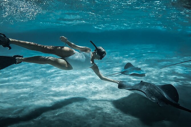 Moorea: Private Snorkeling Tour with Certify Guide - Key things that make this Moorea snorkeling tour work