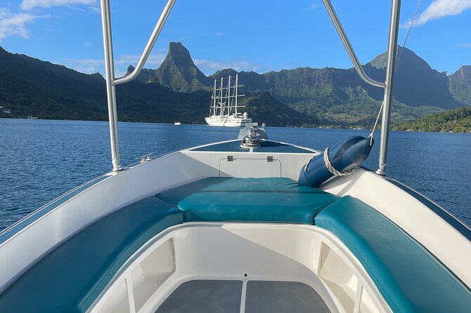 Moorea: Private Snorkeling Tour with Certify Guide - Your 3-hour private snorkeling day starts at Plage de Tiahura