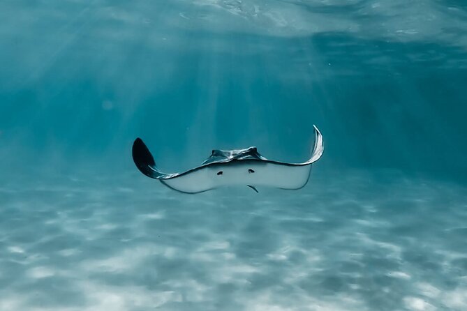 Moorea: Private Snorkeling Tour with Certify Guide - Opunohu Bay cruise: mountain views plus optional reef-barrier snorkeling