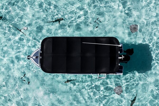 Moorea: Private Snorkeling Tour with Certify Guide - Who is this tour for in Moorea?