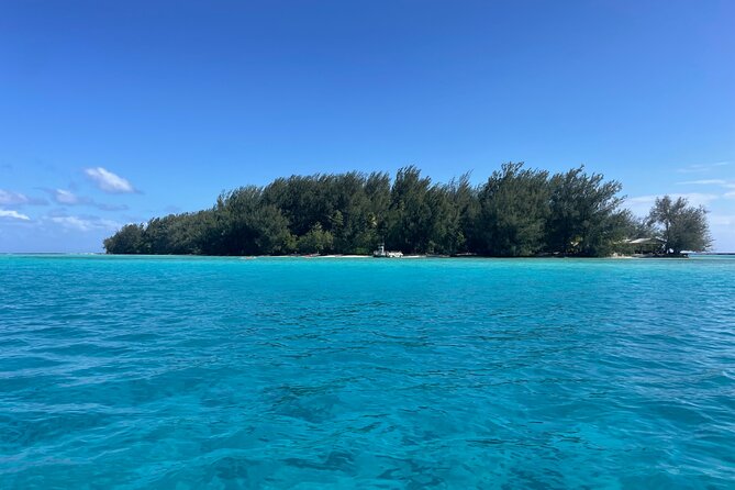 Moorea: Private Snorkeling Tour with Certify Guide - Booking reality: smooth planning for a short, focused outing