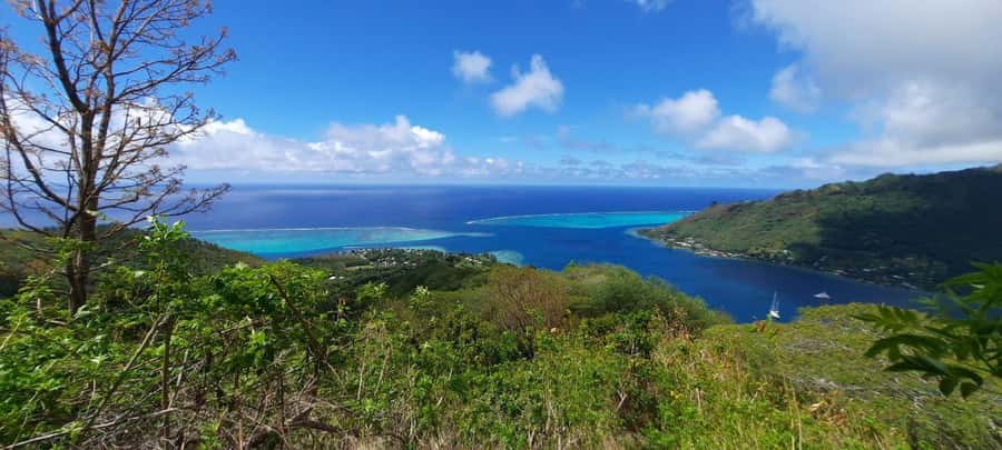 Moorea : Safari Nature and Culture Tour with local guide - Moorea in 4 hours, with VR that shows what the ground can’t