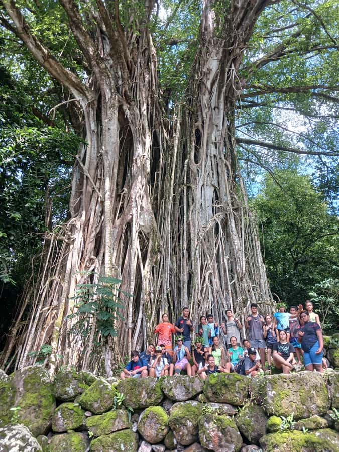 Moorea : Safari Nature and Culture Tour with local guide - VR reconstructions: a 17th-century ceremony and a naval battle