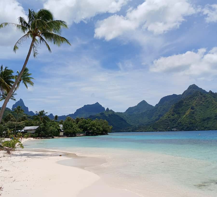 Moorea : Safari Nature and Culture Tour with local guide - Missionaries and temples: Moorea’s 19th-century shift