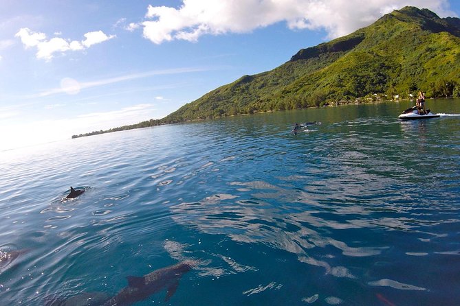 Moorea Solo or Twin 3 hours Jet Ski Tour - Cook’s Bay and Opunohu Bay: The Scenic Ride Between the Water Stops