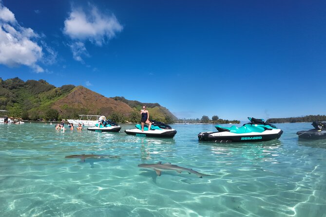 Moorea Solo or Twin Island Tour Jet Ski 4 hours - Opunohu Bay stop: more viewpoints, more chances for clear lagoon photos