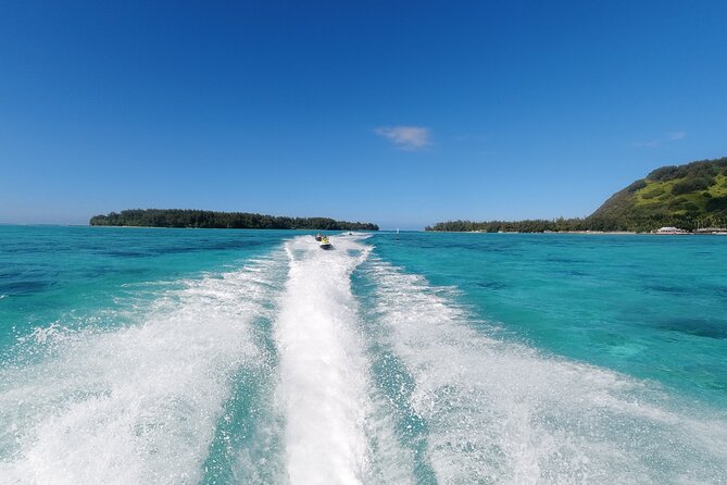Moorea Solo or Twin Island Tour Jet Ski 4 hours - Snorkeling among stingrays and blacktip sharks: what to expect safely