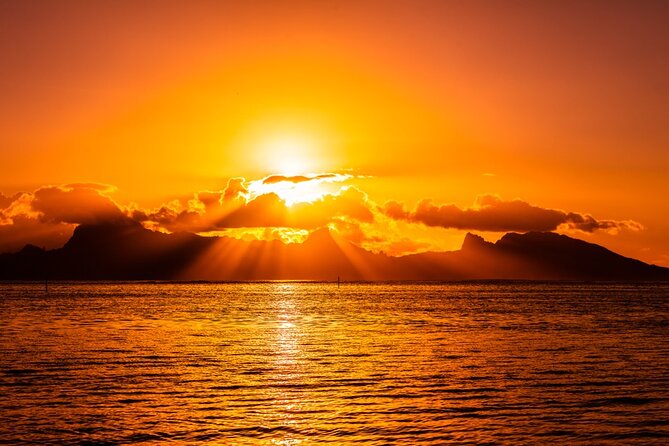 Moorea Sunset Boat Trip - Snorkeling and Marine Life: Turtles, Sharks, and Stingrays