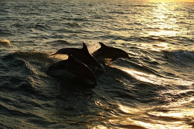 Moorea Sunset Boat Trip - The Cruise Path and View Stops: What You’ll See