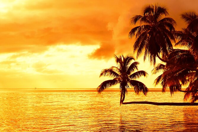 Moorea Sunset Boat Trip - Price and Value: What $112.35 Buys You in Real Terms