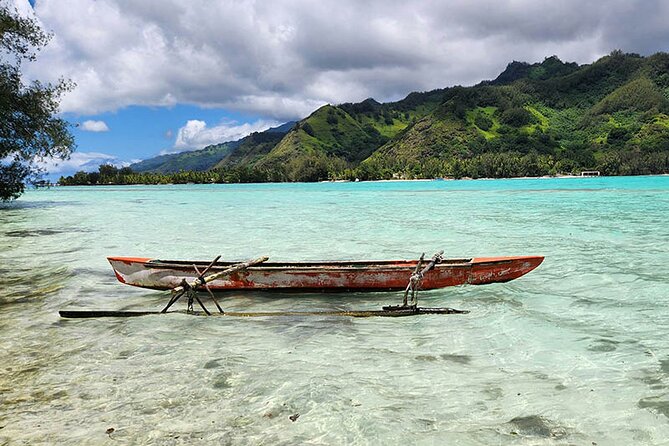 Moorea tour in electric citycoco (in autonomy) - Fees you may pay: Magic Mountain and Criobe Moorea