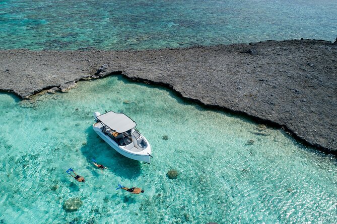 Private 4 Hours Reef Discovery Luxury Private Treasure Hunt in Bora Bora - Key highlights before you book
