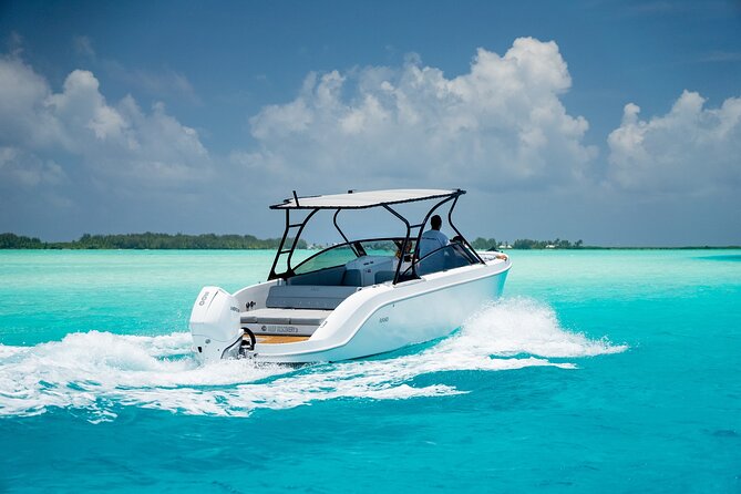 Private 4 Hours Reef Discovery Luxury Private Treasure Hunt in Bora Bora - The price question: is it value or just luxury?