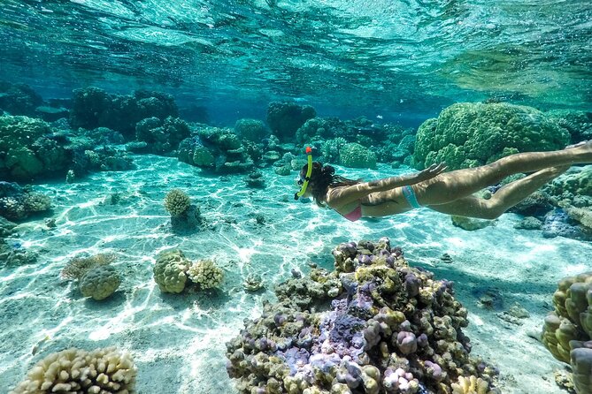 Private 4 Hours Reef Discovery Luxury Private Treasure Hunt in Bora Bora - Tips to make the treasure hunt smoother for your family