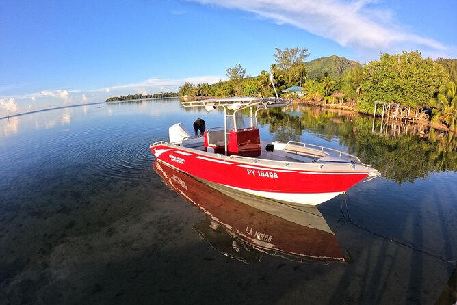Private Big Game Fishing Day - Who This Tour Fits Best (and Who Might Want a Different Plan)