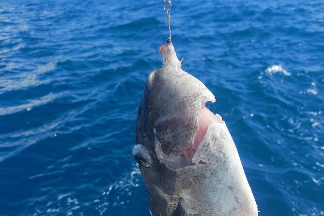 Private Big Game Fishing Tour in Raiatea - Price and Value: Is This Charter Worth It?