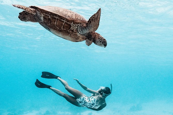 Private Boat Tour of Moorea Lagoon - Moorea Lagoon From Two Angles, Above and Underwater