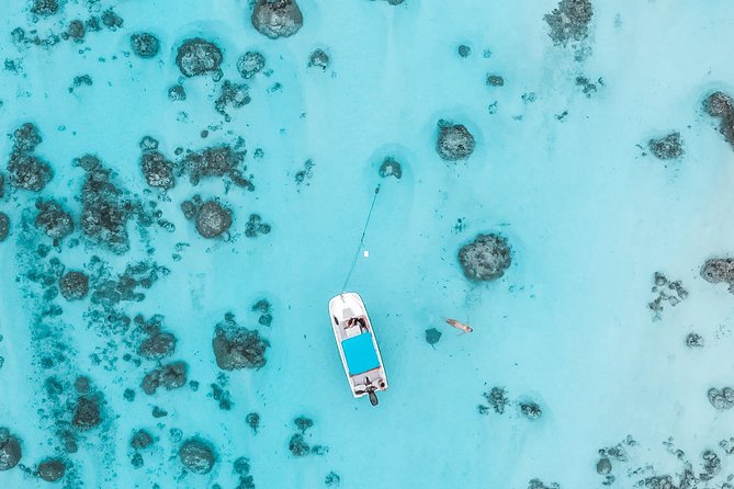 Private Boat Tour of Moorea Lagoon - Price and Value: Is $293.94 Per Person Actually Fair?