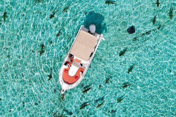Private Bora Bora Lagoon Experience - How Much It Costs, and Why the Value Depends on Your Priorities