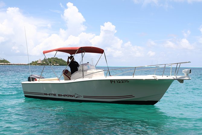 Private Bora Bora Lagoon & Water Lunch Experience - How the 4-Hour Schedule Actually Works for Your Time on the Reef