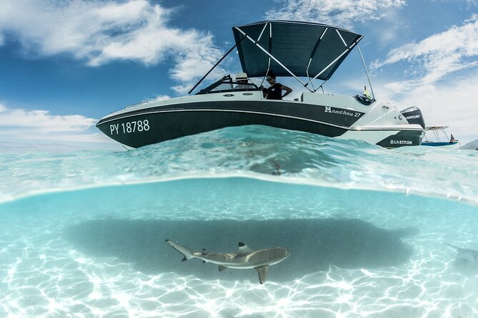 Private Day Trip Hike and Boat in Moorea - Opunohu Bay Time: Motu Lunch and Scenic Water Stops