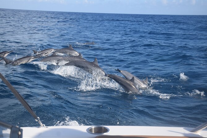 Private Day Trip Hike and Boat in Moorea - Marine Life Safari on Moorea’s North Coast, Until Sunset