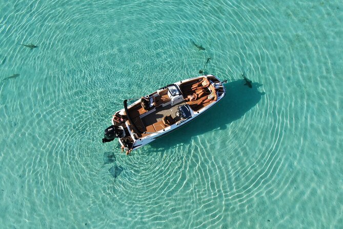 Private Day Trip Hike and Boat in Moorea - Who This Tour Fits Best, and Who Should Pause