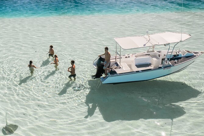 Private Discovery of the Marine Fauna of Moorea - Key things I’d mark on your Moorea checklist