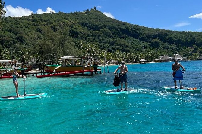 Private Electric Paddle Cruise in Bora Bora - Safety, limits, and what you actually need to know before you go