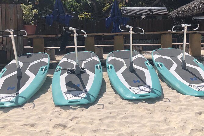 Private Electric Paddle Cruise in Bora Bora - Duration and pacing: why one hour is the sweet spot