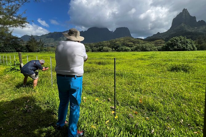 Private excursion to Moorea, photo tour & immersive discovery - Stop 1: Moorea Meeting Point, Getting Set for Photos