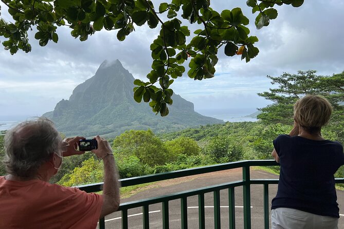 Private excursion to Moorea, photo tour & immersive discovery - Stop 3: Opunohu Bay for Texture, Water Color, and Depth