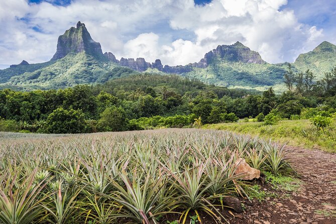 Private excursion to Moorea, photo tour & immersive discovery - Pricing and Group Size: When $473.71 per Group Makes Sense