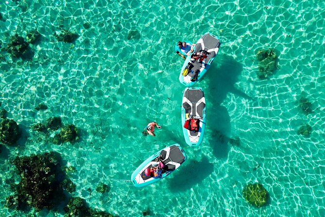 Private Excursion with E-Board in Moorea with snorkeling - Wildlife spotting with Lucie and Ben, not just staring at fish