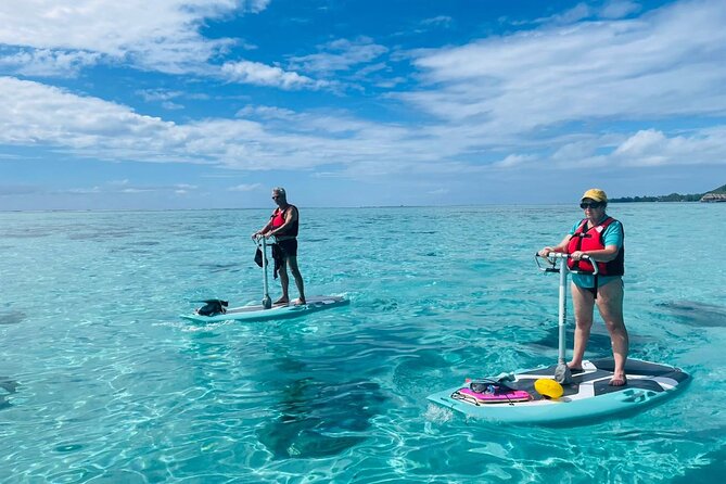 Private Excursion with E-Board in Moorea with snorkeling - Cruising the lagoon on a stable electric board
