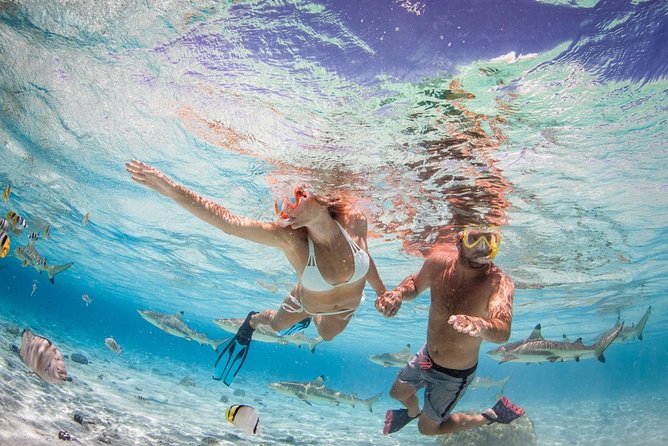 Private Full Day Aquatic Photo Tour + Resort Photo-Shoot (All inclusive) - Semi-Submerged and Fully Underwater Shots: What Makes These Photos Different