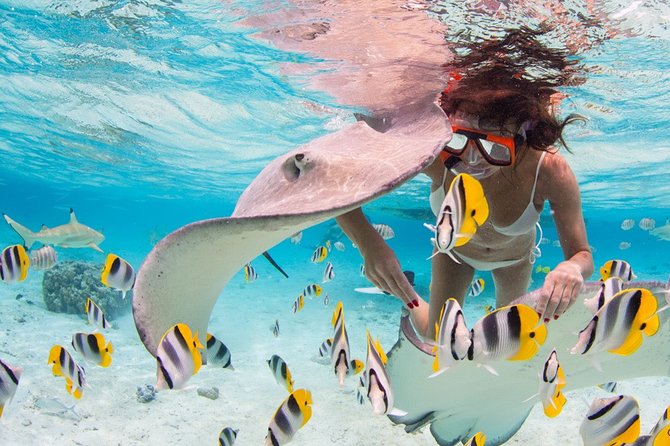 Private Full Day Aquatic Photo Tour + Resort Photo-Shoot (All inclusive) - Your Resort Photo Shoot: Getting the Best Look Before You Get Wet