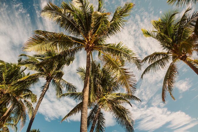 Private Full-Day Lagoon Adventure in Bora Bora with BBQ Lunch - Who This Tour Suits Best (And Who Might Want Something Different)