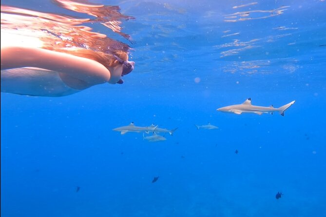 Private Full Day Lagoon Safari and Lunch on a Motu in Bora Bora - The Motu Lunch: What Included Food Looks Like and How to Enjoy It