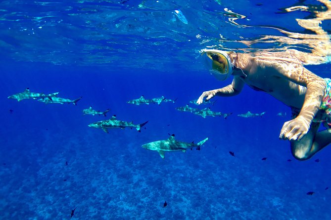 PRIVATE FULL DAY LAGOON TOUR - Bora Bora Cultural Lagoon Tour - Key highlights you should know before you go