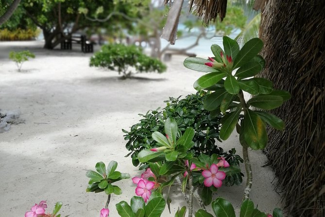 PRIVATE FULL DAY LAGOON TOUR - Bora Bora Cultural Lagoon Tour - Meeting your group and getting out on the water (9:00 am start)