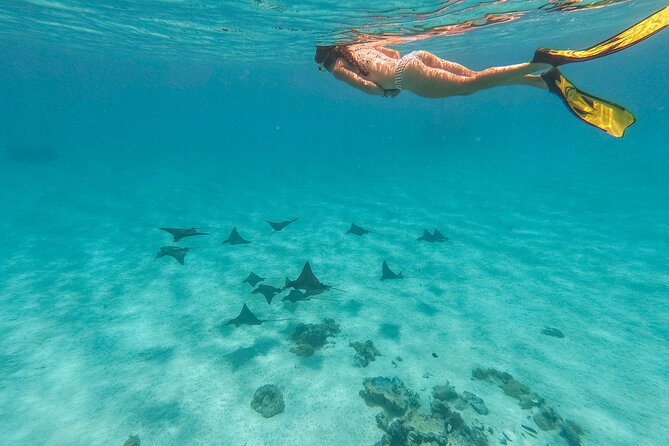 PRIVATE FULL DAY LAGOON TOUR - Bora Bora Cultural Lagoon Tour - The first Polynesian canoe setup: comfort while you snorkel