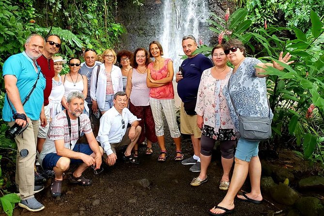 Private Full-Day Tahiti - Grotto, Gardens & Panoramas - What the $850 group price buys you, and when it is good value