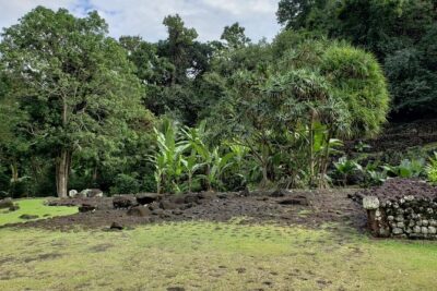 Private Full-Day Tahiti – Grotto, Gardens & Panoramas