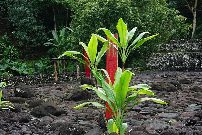 Private Full-Day Tahiti - Grotto, Gardens & Panoramas - Point Venus and Belvedere du Taharaa, history plus big sea views