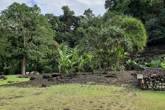 Private Full-Day Tahiti — Grotto, Gardens & Panoramas - Morning starts at Papeete, from the Hilton lookout to Marae Arahurahu