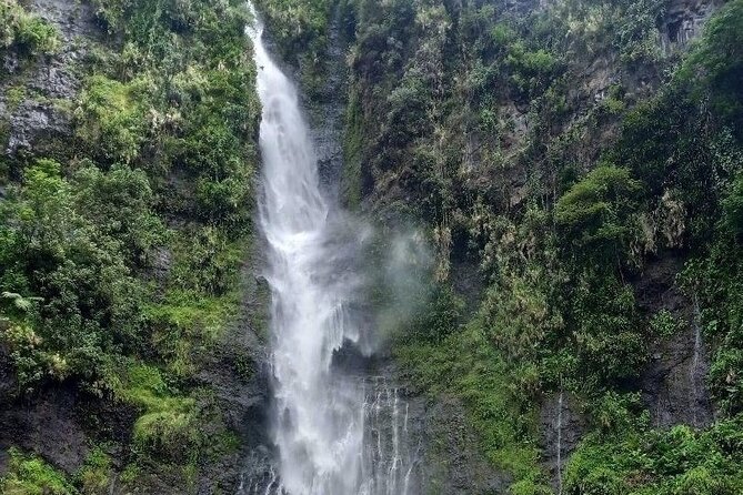 Private Full Day Tour of Tahiti - Value for money: is $550 per group up to 2 worth it?